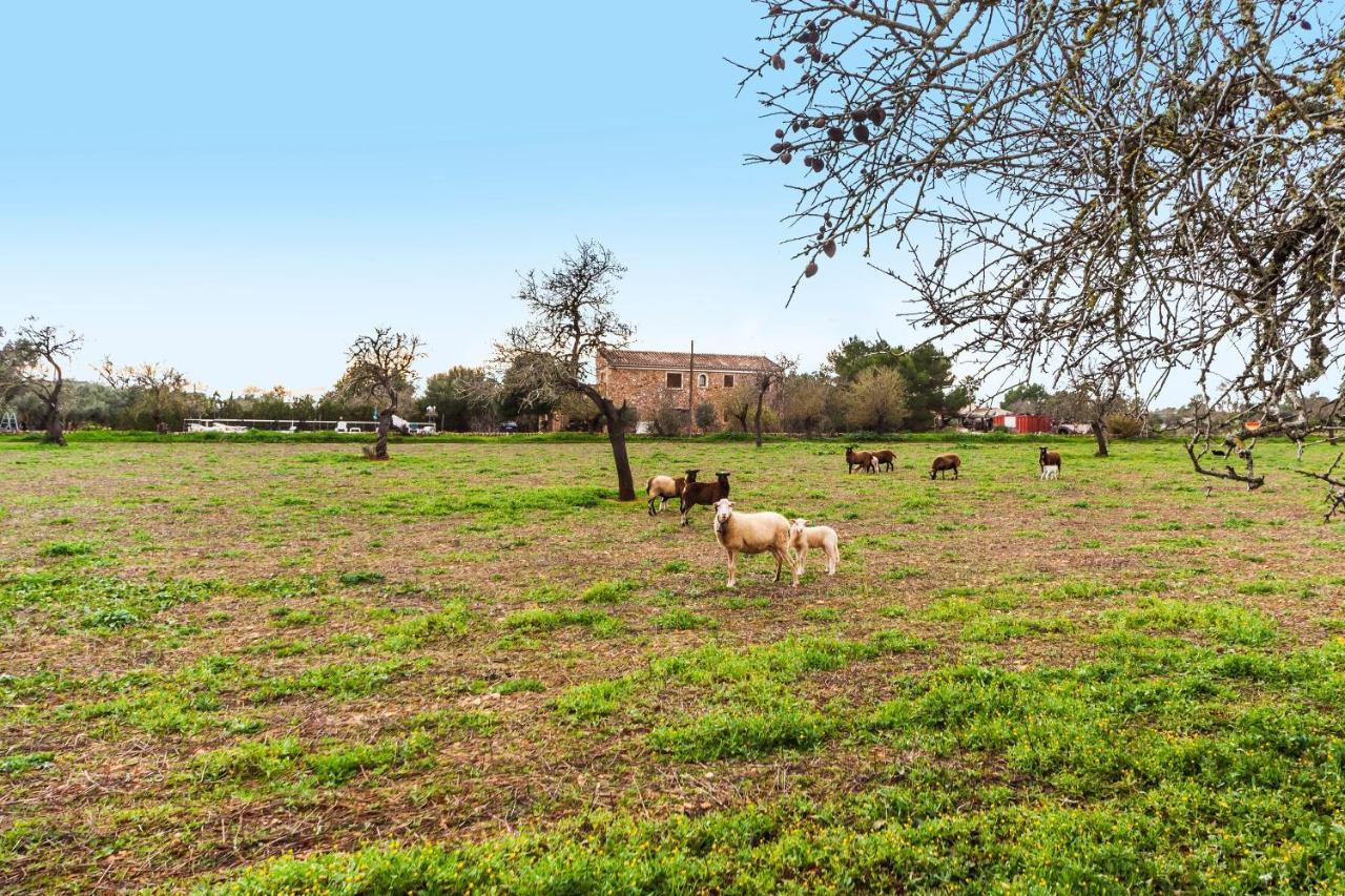 Finca Esplendor Campos  Zewnętrze zdjęcie